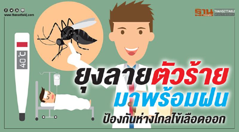 ยุงลายตัวร้ายมาพร้อมฝน ป้องกันห่างไกลไข้เลือดออก ยุงลายตัวร้ายมาพร้อมฝน ป้องกันห่างไกลไข้เลือดออก