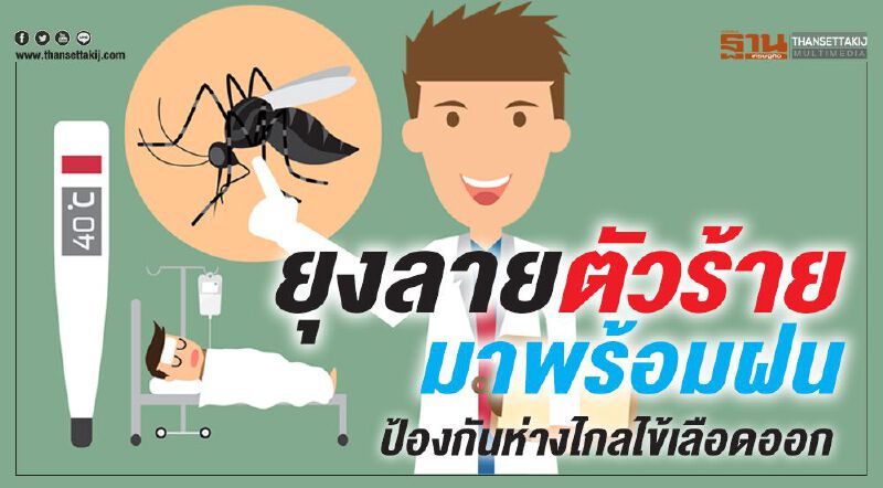 ยุงลายตัวร้ายมาพร้อมฝน ป้องกันห่างไกลไข้เลือดออก 