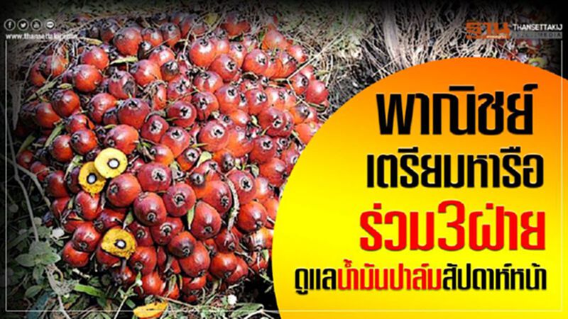 พาณิชย์เตรียมหารือร่วม3ฝ่าย ดูแลน้ำมันปาล์มสัปดาห์หน้า พาณิชย์เตรียมหารือร่วม3ฝ่าย ดูแลน้ำมันปาล์มสัปดาห์หน้า