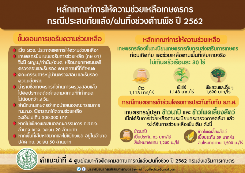 11 ส.ค.สมาคมชาวนาฯเรียกประชุมทั่วประเทศติวเข้มแก้ไขปัญหาข้าว
