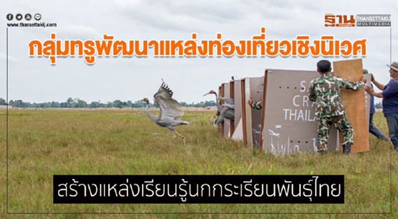 กลุ่มทรูพัฒนาแหล่งท่องเที่ยวเชิงนิเวศ สร้างแหล่งเรียนรู้นกกระเรียนพันธุ์ไทย กลุ่มทรูพัฒนาแหล่งท่องเที่ยวเชิงนิเวศ สร้างแหล่งเรียนรู้นกกระเรียนพันธุ์ไทย