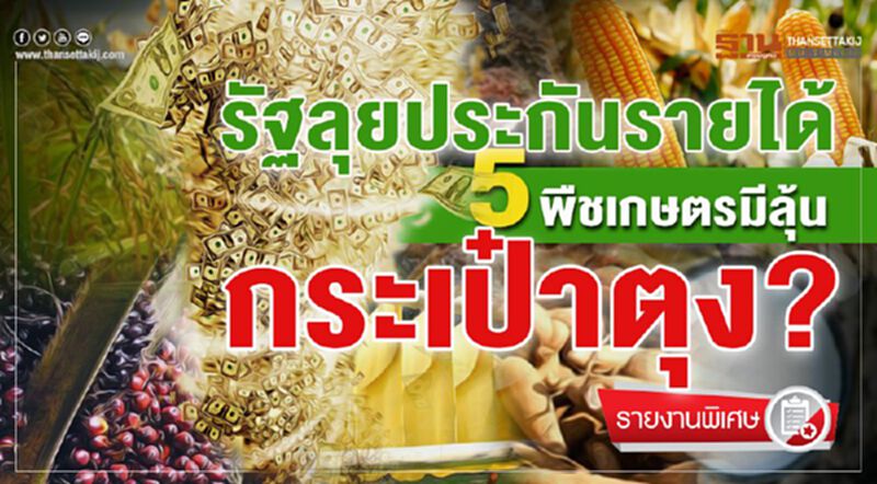 รัฐลุยประกันรายได้ 5 พืชเกษตรมีลุ้นกระเป๋าตุง? รัฐลุยประกันรายได้ 5 พืชเกษตรมีลุ้นกระเป๋าตุง?