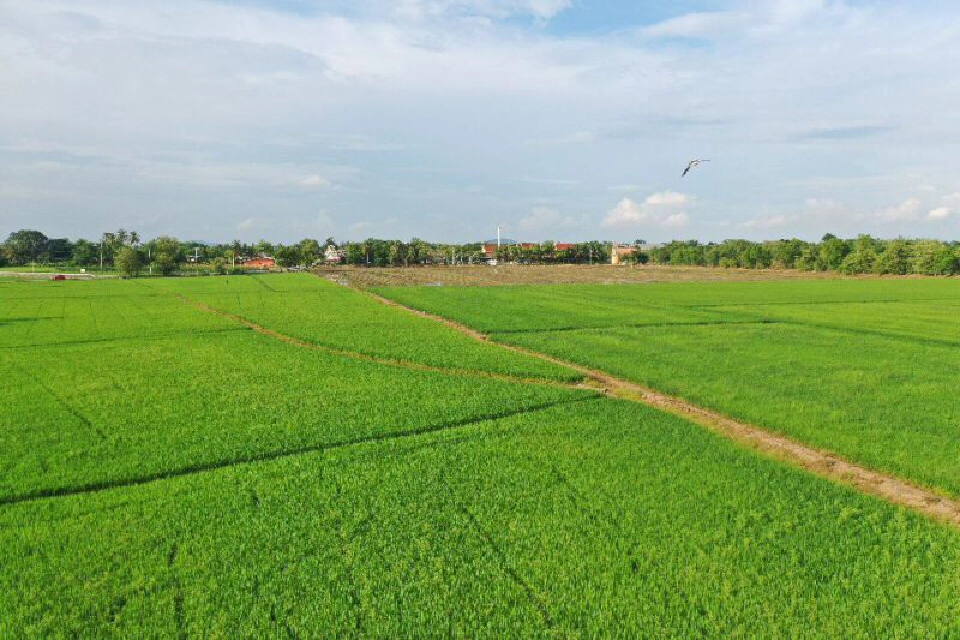 ดึงอปท. ทั่วประเทศลุยแหล่งน้ำขนาดเล็ก