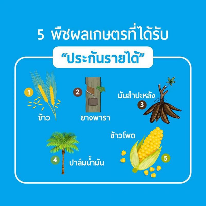 17 ส.ค.ถึงคิวชาวนาลุ้น ‘จุรินทร์’เคาะประกันรายได้ข้าว