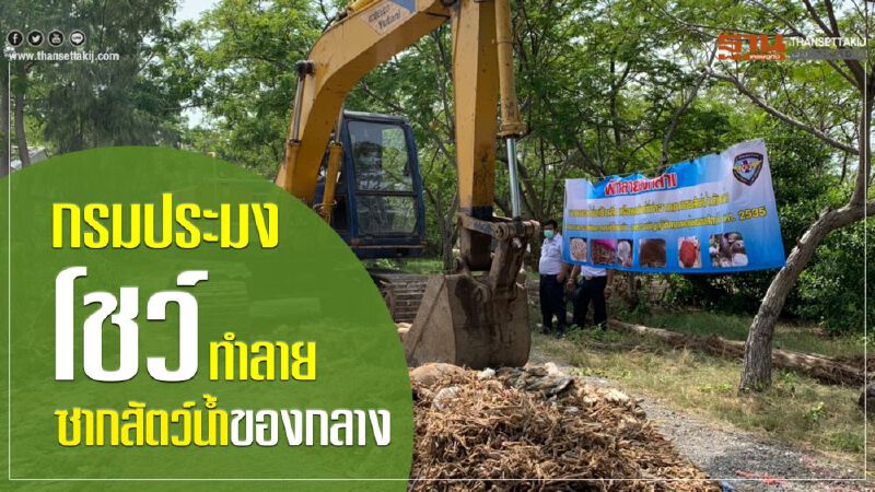 กรมประมงโชว์ “ทำลายซากสัตว์น้ำของกลาง” กรมประมงโชว์ “ทำลายซากสัตว์น้ำของกลาง”