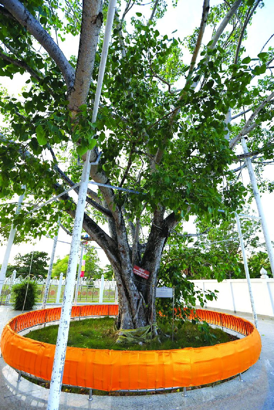 ชีวิตดีดี ตามรอยศาสตร์พระราชา ผลงานรูปธรรมไม่ใช่แค่วาทกรรม