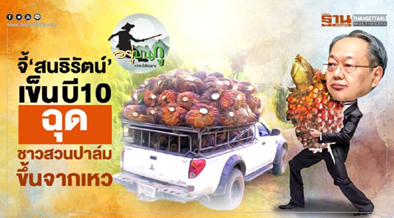 จี้ 'สนธิรัตน์' เข็น บี10 ฉุดชาวสวนปาล์มขึ้นจากเหว จี้ 'สนธิรัตน์' เข็น บี10 ฉุดชาวสวนปาล์มขึ้นจากเหว