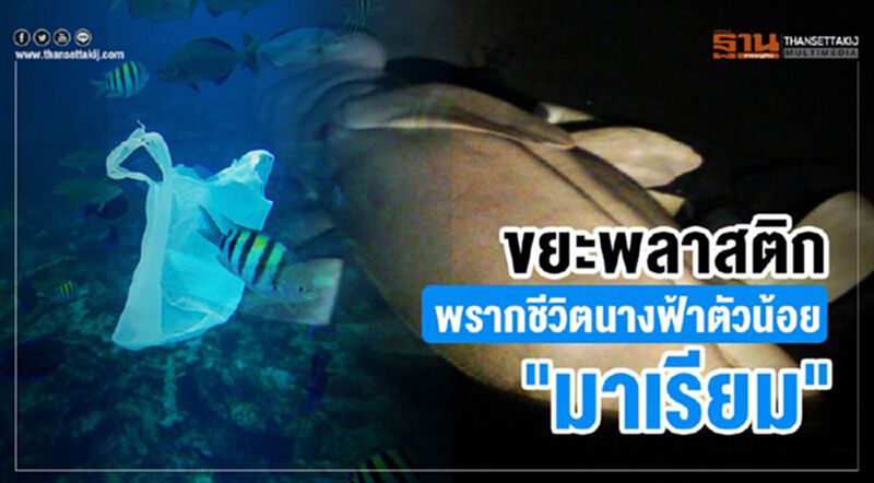 "ขยะพลาสติก"พรากชีวิตนางฟ้าตัวน้อย"มาเรียม" "ขยะพลาสติก"พรากชีวิตนางฟ้าตัวน้อย"มาเรียม"