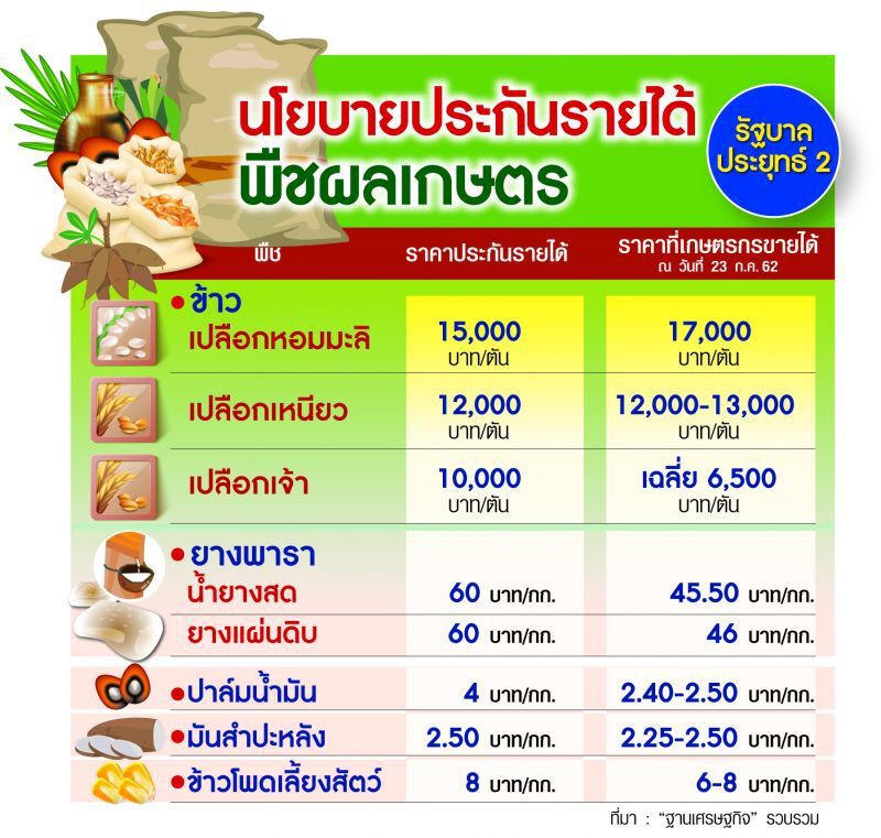จับตาประชุม กนป.เคาะงบประกันรายได้ชาวสวนปาล์ม