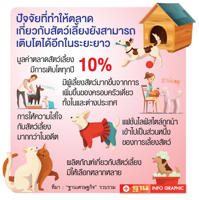Animal go round  เชื่อมเจ้าของกับสัตว์เลี้ยง สร้างธุรกิจ