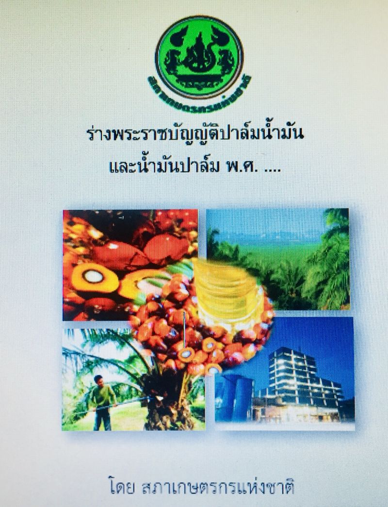 ‘ประวิตร’ เคาะงบ 1.5 หมื่นล้าน ประกันรายได้ชาวสวนปาล์ม