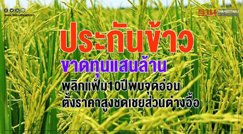 ประกันข้าวขาดทุนแสนล้าน พลิกแฟ้ม10ปีพบจุดอ่อนตั้งราคาสูงชดเชยส่วนต่างอื้อ ประกันข้าวขาดทุนแสนล้าน พลิกแฟ้ม10ปีพบจุดอ่อนตั้งราคาสูงชดเชยส่วนต่างอื้อ