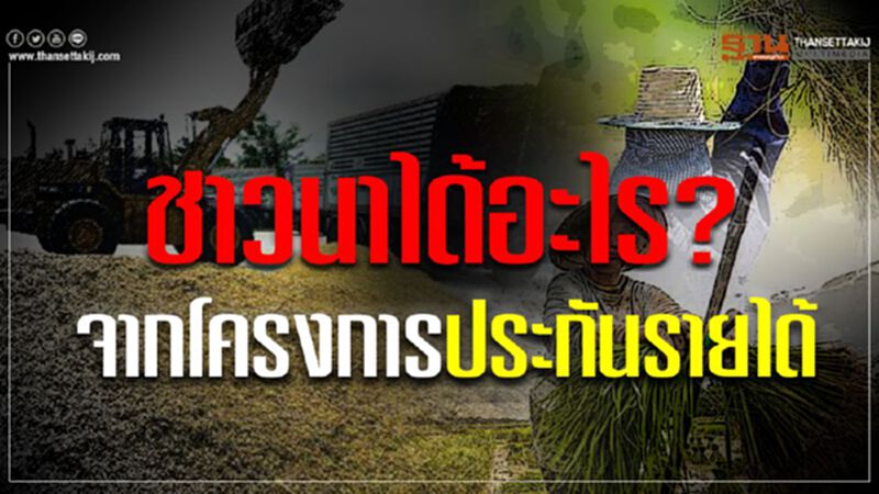 ชาวนาได้อะไร? จากโครงการประกันรายได้ ชาวนาได้อะไร? จากโครงการประกันรายได้