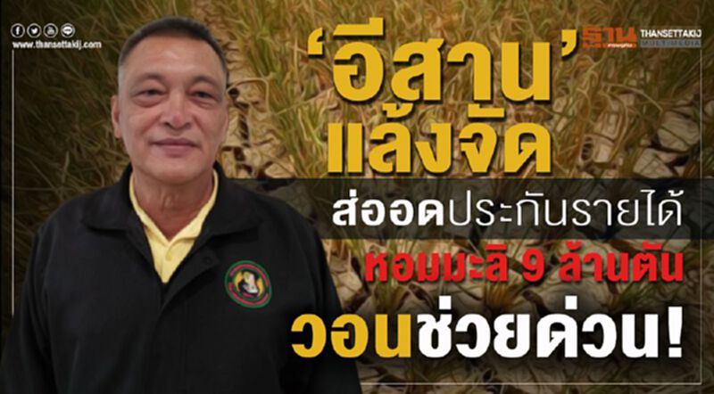 “อีสาน”แล้งจัดส่ออดประกันรายได้ หอมมะลิ 9 ล้านตันวอนช่วยด่วน! “อีสาน”แล้งจัดส่ออดประกันรายได้ หอมมะลิ 9 ล้านตันวอนช่วยด่วน!