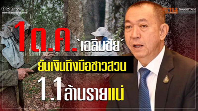1 ต.ค. ‘เฉลิมชัย’ ยันเงินถึงมือชาวสวน 1.1 ล้านรายแน่ 1 ต.ค. ‘เฉลิมชัย’ ยันเงินถึงมือชาวสวน 1.1 ล้านรายแน่