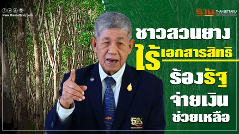 ชาวสวนยางไร้เอกสารสิทธิร้องรัฐจ่ายเงินช่วยเหลือ ชาวสวนยางไร้เอกสารสิทธิร้องรัฐจ่ายเงินช่วยเหลือ