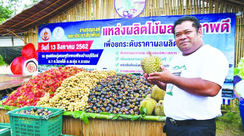 ขอจีไอ‘ทุเรียน-มังคุด’ในวง ระนองดัน‘ละอุ่น’แหล่งผลิตผลไม้ชั้นเลิศขายทั่วโลก