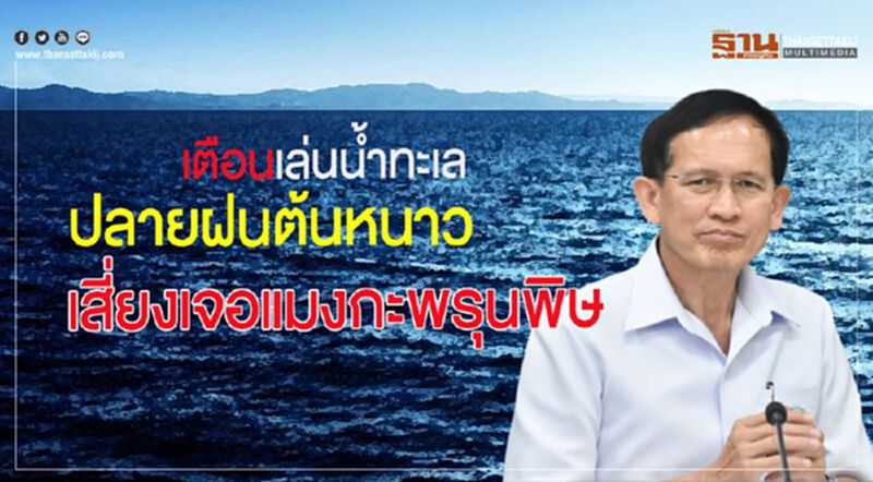 เตือนเล่นน้ำทะเลปลายฝนต้นหนาวเสี่ยงเจอแมงกะพรุนพิษ เตือนเล่นน้ำทะเลปลายฝนต้นหนาวเสี่ยงเจอแมงกะพรุนพิษ