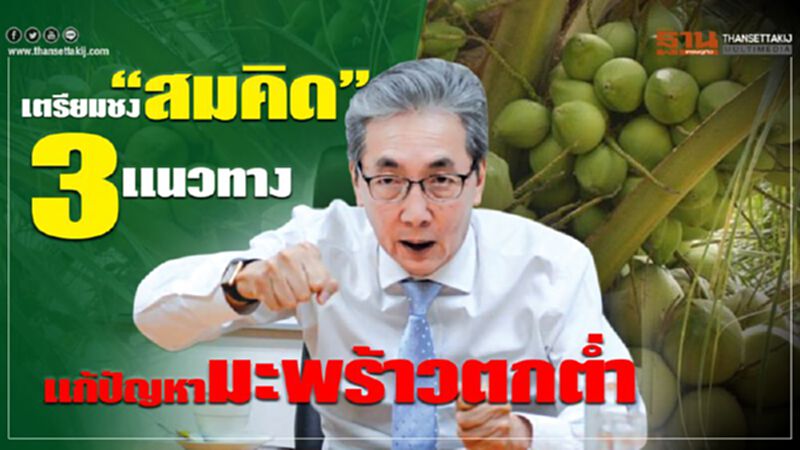 เตรียมชง “สมคิด”3 แนวทาง แก้ปัญหามะพร้าวตกต่ำ เตรียมชง “สมคิด”3 แนวทาง แก้ปัญหามะพร้าวตกต่ำ