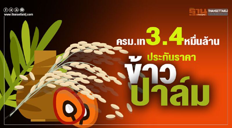 ครม.เท3.4หมื่นล้าน ประกันราคา‘ข้าว-ปาล์ม’ ครม.เท3.4หมื่นล้าน ประกันราคา‘ข้าว-ปาล์ม’