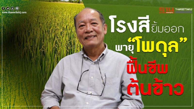 โรงสียิ้มออกพายุ “โพดุล” ฟื้นชีพต้นข้าว โรงสียิ้มออกพายุ “โพดุล” ฟื้นชีพต้นข้าว