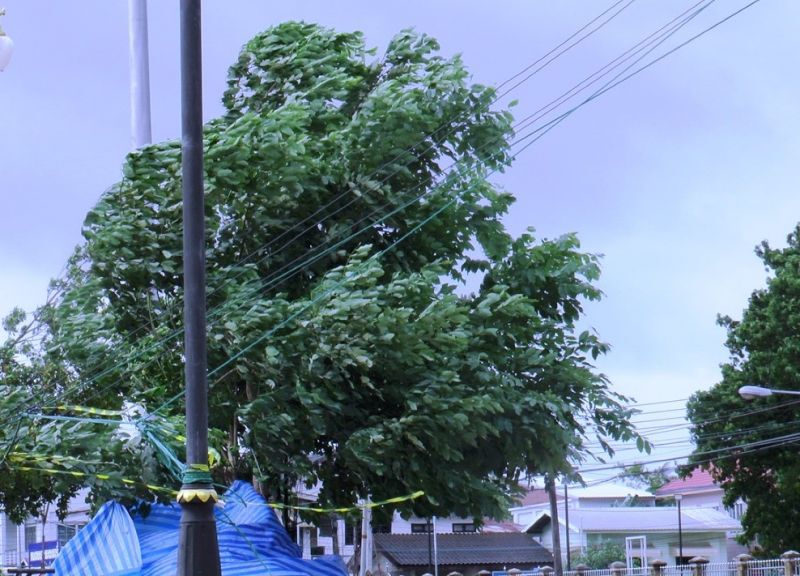 "ปภ."ประสานทุกหน่วย รับมือฝนตกหนัก2-3 ก.ย.