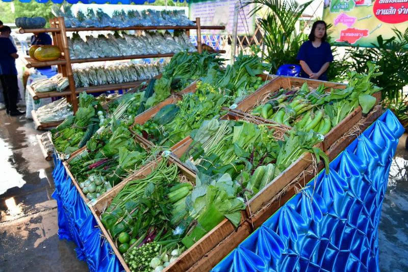 ‘มนัญญา’ ปั้นอุทัยธานีโมเดลปลูกผักปลดหนี้เกษตรกร