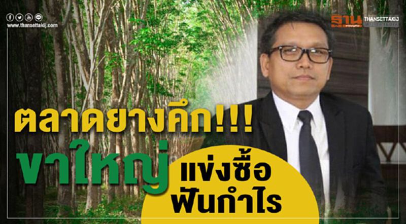 ตลาดยางคึกขาใหญ่ แข่งซื้อฟันกำไร ตลาดยางคึกขาใหญ่ แข่งซื้อฟันกำไร