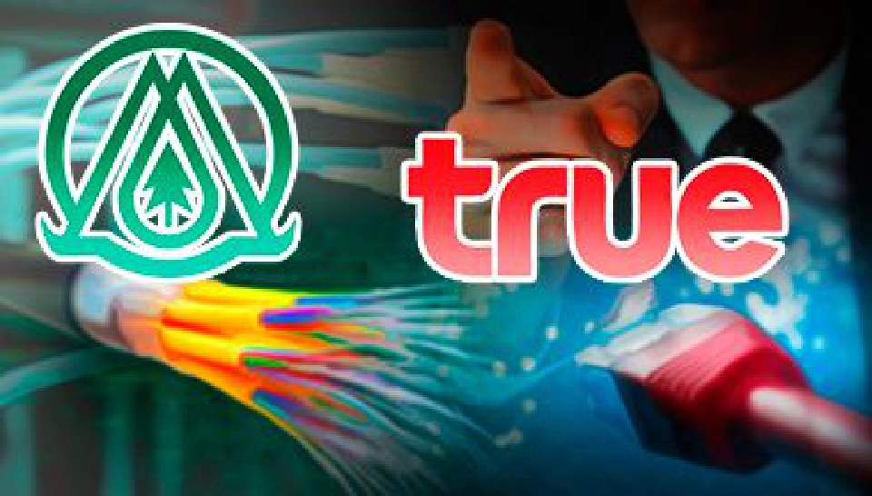 ‘ทรู’ ตั้งโต๊ะเคลียร์ค่าเช่าท่อร้อยสาย  เคทียํ้าทุกอย่างต้อง‘วิน-วิน’ทั้งคู่