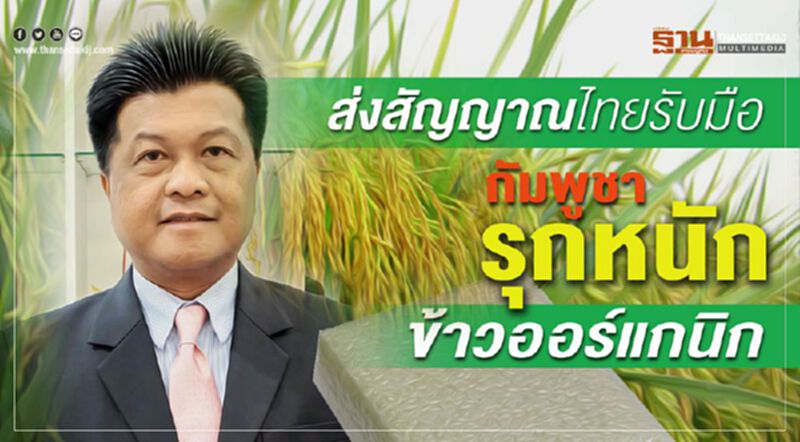 ส่งสัญญาณไทยรับมือ กัมพูชารุกหนักข้าวออร์แกนิก ส่งสัญญาณไทยรับมือ กัมพูชารุกหนักข้าวออร์แกนิก