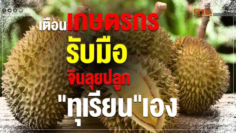 เตือนเกษตรกรรับมือ จีนลุยปลูก"ทุเรียน"เอง เตือนเกษตรกรรับมือ จีนลุยปลูก"ทุเรียน"เอง