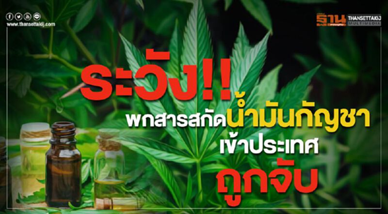 ระวัง!! พกสารสกัดน้ำมันกัญชาเข้าประเทศ ถูกจับ ระวัง!! พกสารสกัดน้ำมันกัญชาเข้าประเทศ ถูกจับ