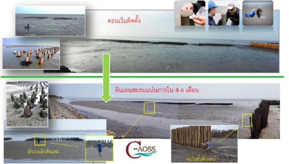 ‘โกงกางเทียม’ โอกาส-ทางรอดอุตสาหกรรมยางพาราไทย