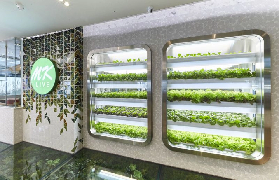 "เอ็มเค" เทคโอเวอร์  “แหลมเจริญ”   อาณาจักรร้านอาหารหมื่นล้าน