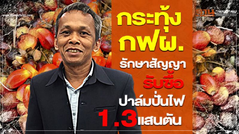 กระทุ้ง กฟผ.รักษาสัญญารับซื้อปาล์มปั่นไฟ 1.3 แสนตัน กระทุ้ง กฟผ.รักษาสัญญารับซื้อปาล์มปั่นไฟ 1.3 แสนตัน