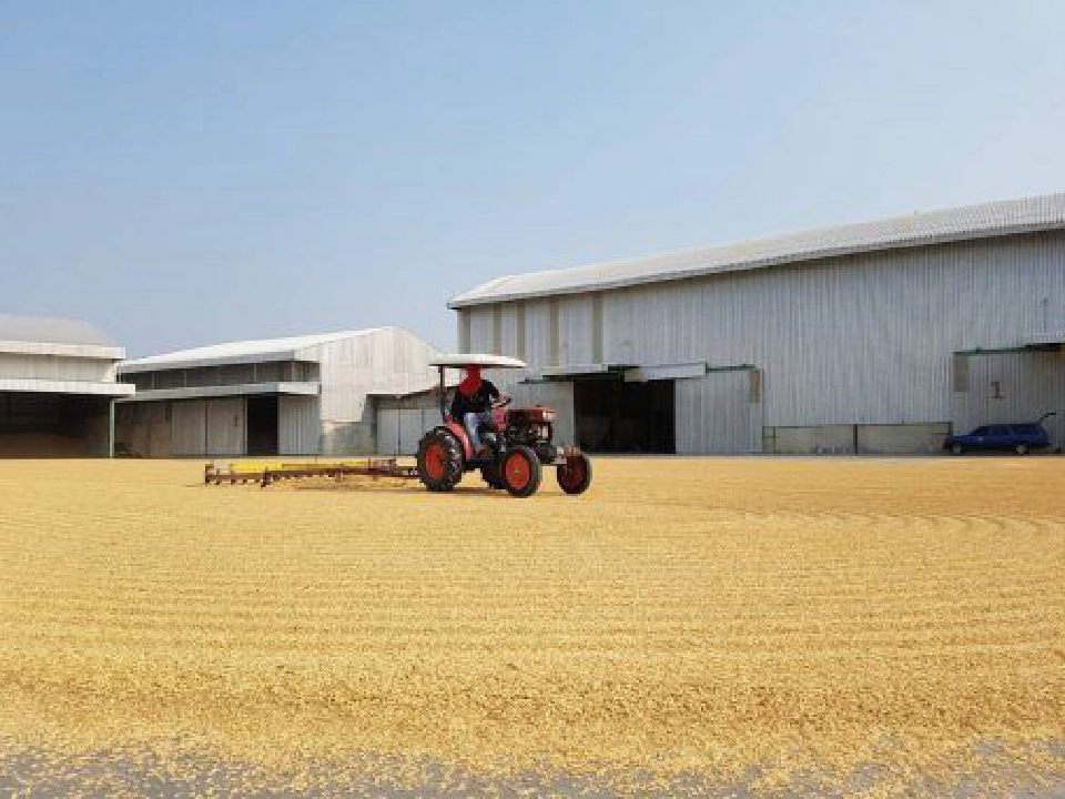 หลากทัศนะอุทาหรณ์ “จำนำข้าว”