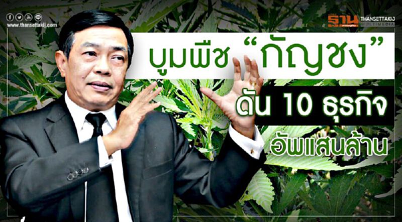 บูมพืช “กัญชง” ดัน 10 ธุรกิจอัพแสนล้าน บูมพืช “กัญชง” ดัน 10 ธุรกิจอัพแสนล้าน
