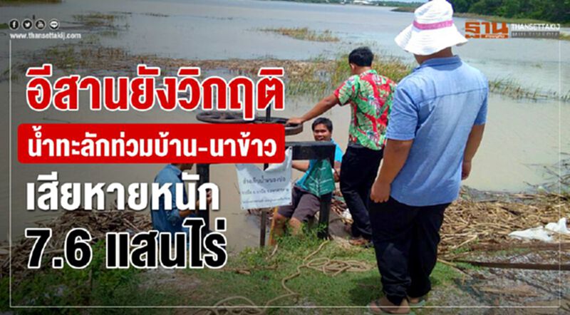อีสานยังวิกฤติน้ำทะลักท่วมบ้าน-นาข้าวเสียหายหนัก 7.6 แสนไร่ อีสานยังวิกฤติน้ำทะลักท่วมบ้าน-นาข้าวเสียหายหนัก 7.6 แสนไร่