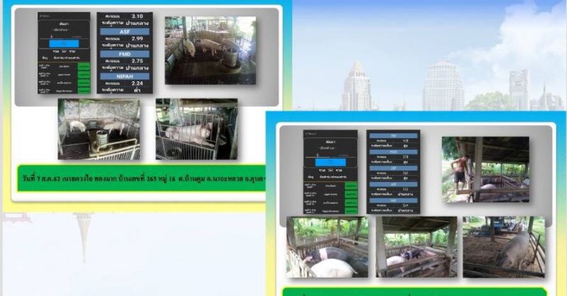 ‘ปศุสัตว์-ซีพี’ ป้องโรค ASF เข้าไทย