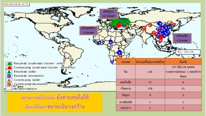 ‘ปศุสัตว์-ซีพี’ ป้องโรค ASF เข้าไทย