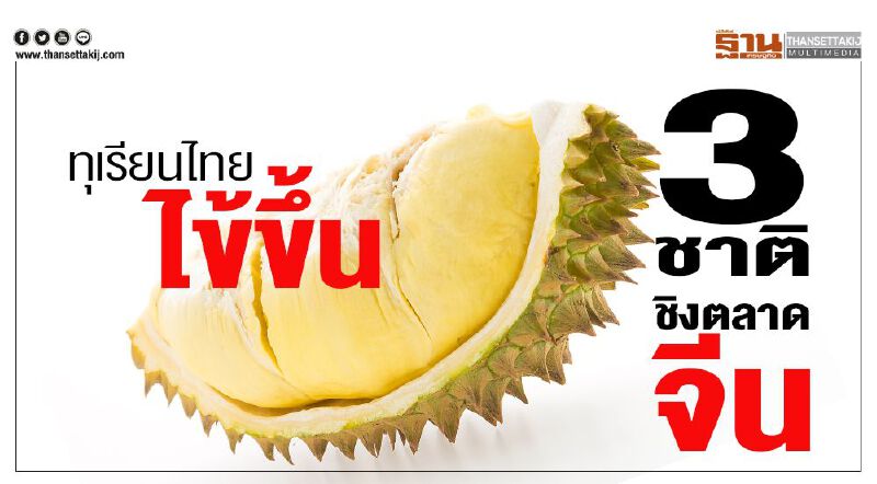 ทุเรียนไทยไข้ขึ้น 3 ชาติชิงตลาดจีน ทุเรียนไทยไข้ขึ้น 3 ชาติชิงตลาดจีน