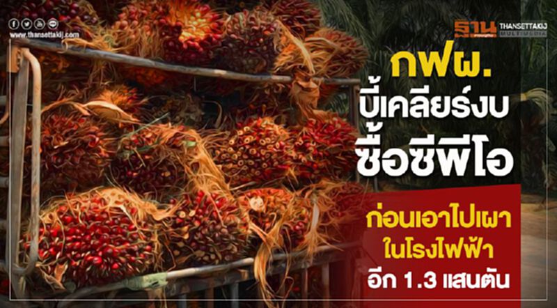 กฟผ.บี้เคลียร์งบซื้อซีพีโอ ก่อนเอาไปเผาในโรงไฟฟ้าอีก 1.3 แสนตัน กฟผ.บี้เคลียร์งบซื้อซีพีโอ ก่อนเอาไปเผาในโรงไฟฟ้าอีก 1.3 แสนตัน