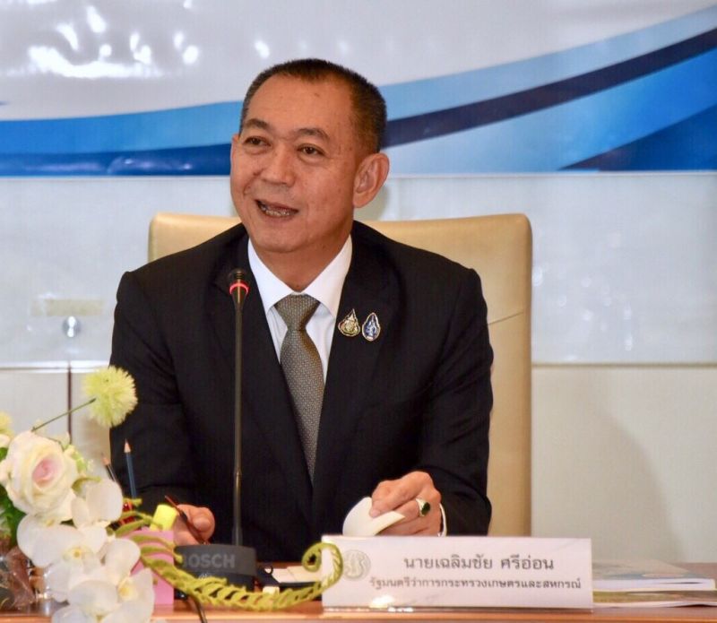 เฉลิมชัย ศรีอ่อน 