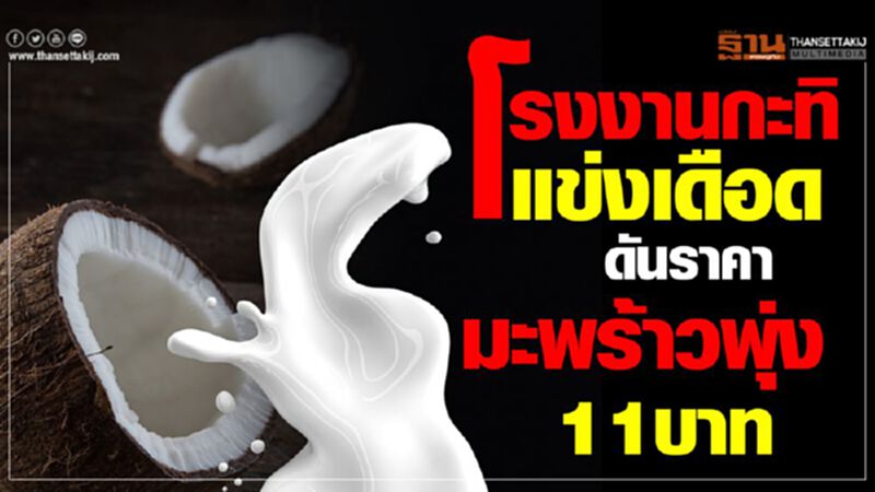 โรงงานกะทิแข่งเดือดดันราคามะพร้าวพุ่ง 11 บาท โรงงานกะทิแข่งเดือดดันราคามะพร้าวพุ่ง 11 บาท