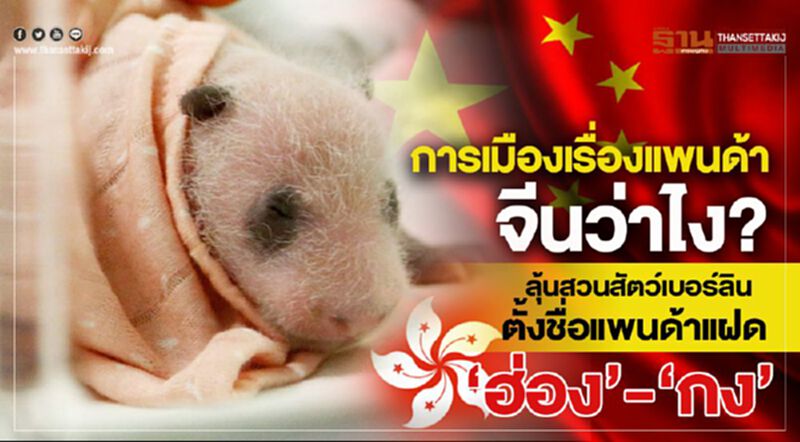 การเมืองเรื่องแพนด้า จีนว่าไง? ลุ้นสวนสัตว์เบอร์ลินตั้งชื่อแพนด้าแฝด ‘ฮ่อง’- ‘กง’ การเมืองเรื่องแพนด้า จีนว่าไง? ลุ้นสวนสัตว์เบอร์ลินตั้งชื่อแพนด้าแฝด ‘ฮ่อง’- ‘กง’
