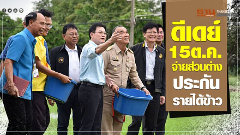 ดีเดย์ 15 ต.ค.จ่ายส่วนต่าง "ประกันรายได้ข้าว" ดีเดย์ 15 ต.ค.จ่ายส่วนต่าง "ประกันรายได้ข้าว"