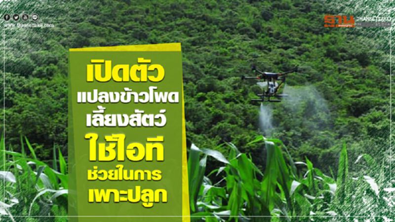 เปิดตัวแปลงข้าวโพดเลี้ยงสัตว์ใช้ไอทีช่วยในการเพาะปลูก เปิดตัวแปลงข้าวโพดเลี้ยงสัตว์ใช้ไอทีช่วยในการเพาะปลูก