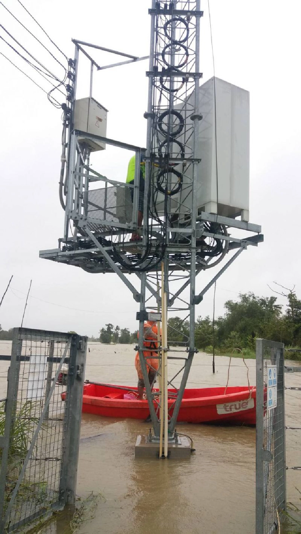 ทำความรู้จักรถโมบายล์เคลื่อนที่ “COW” ทรูมูฟ เอช พัฒนาเพิ่มอีก 100คัน