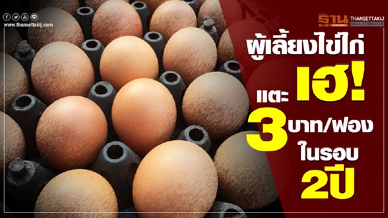 ผู้เลี้ยงไข่ไก่เฮ! แตะ 3 บาท/ฟอง ในรอบ 2 ปี ผู้เลี้ยงไข่ไก่เฮ! แตะ 3 บาท/ฟอง ในรอบ 2 ปี