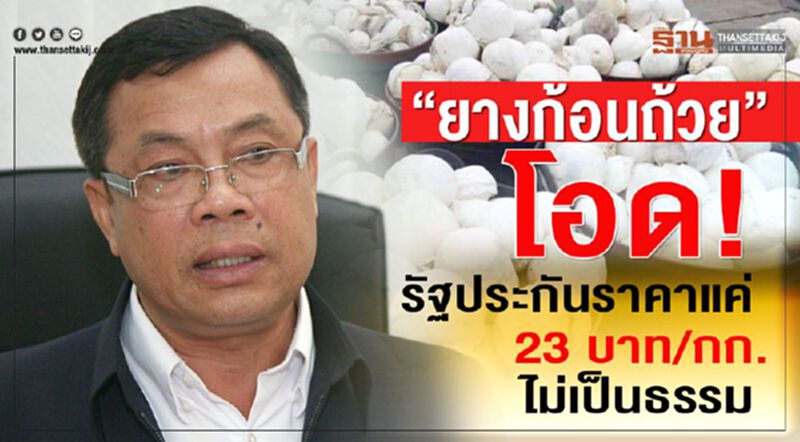 “ยางก้อนถ้วย” โอด! รัฐประกันราคาแค่ 23 บาท/กก.ไม่เป็นธรรม “ยางก้อนถ้วย” โอด! รัฐประกันราคาแค่ 23 บาท/กก.ไม่เป็นธรรม